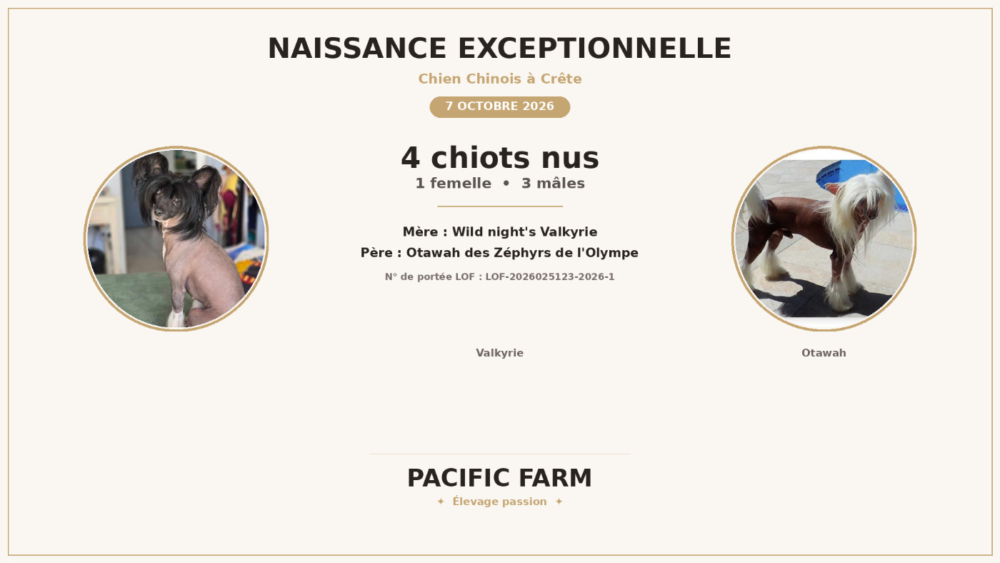 NAISSANCE