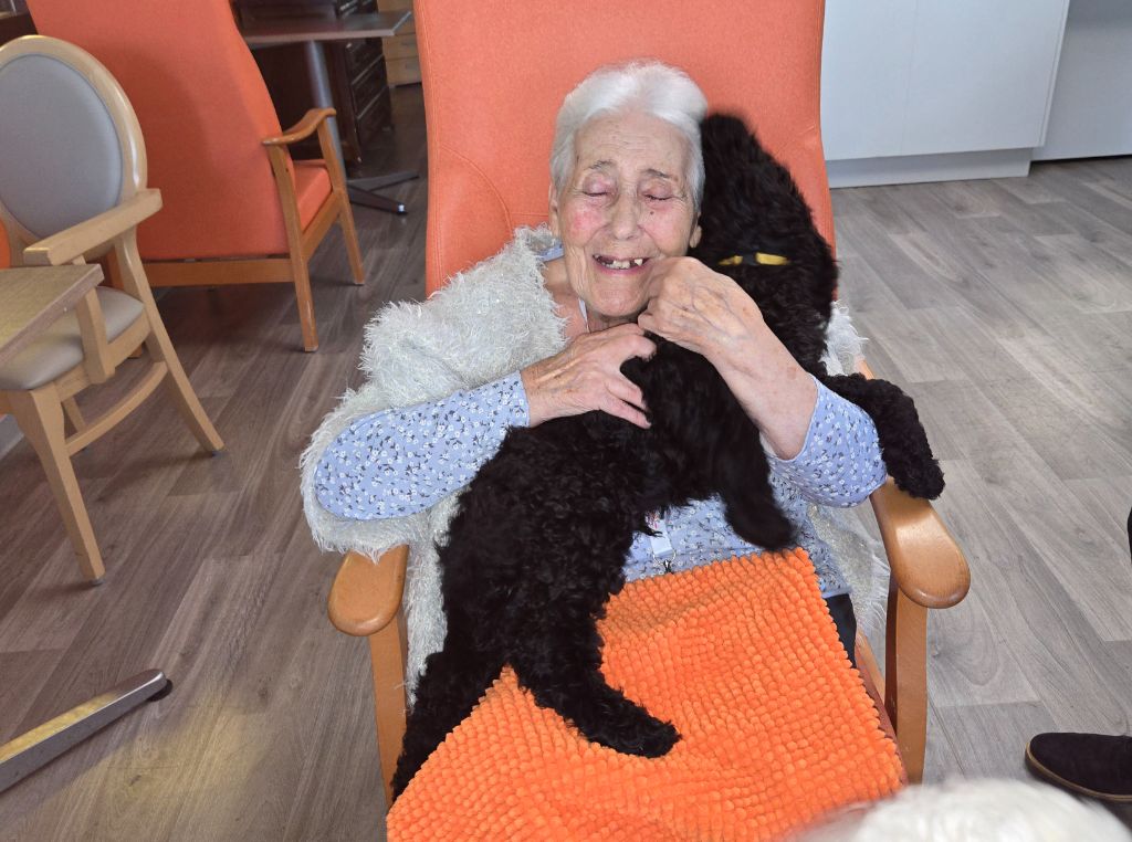 Les chiots en visite dans une maison de retraite